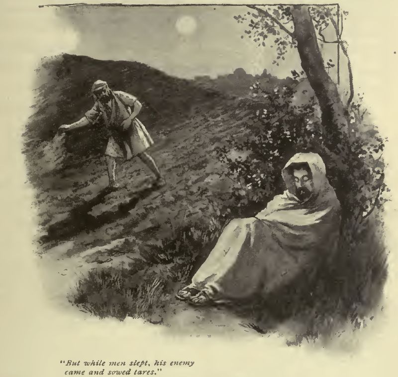 Η παραβολή του σιταριού και των ζιζανίων.