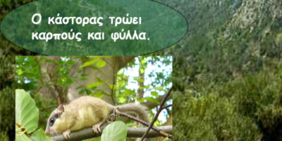Εικόνα 1