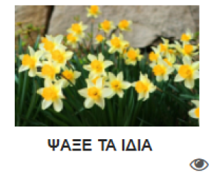 Εικονίδιο